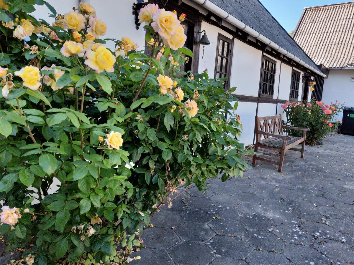 Dastrup Bed & Breakfast Viby エクステリア 写真